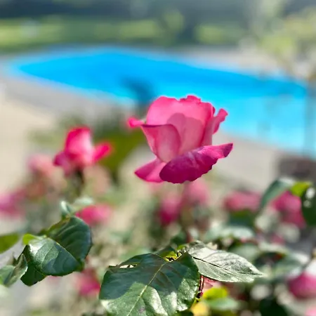 Californienne Du Soleil Villa *