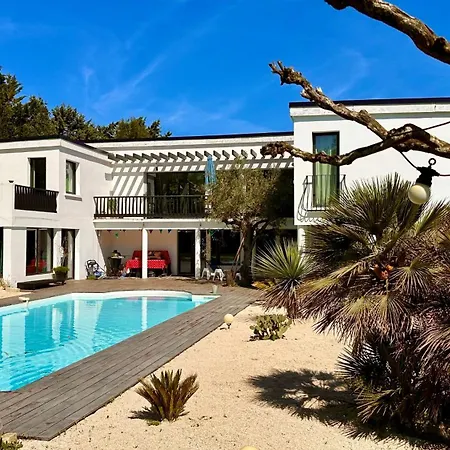 Californienne Du Soleil
